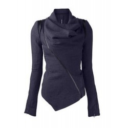 Plain Regular Zipper Long Sleeve Thick Hoodie